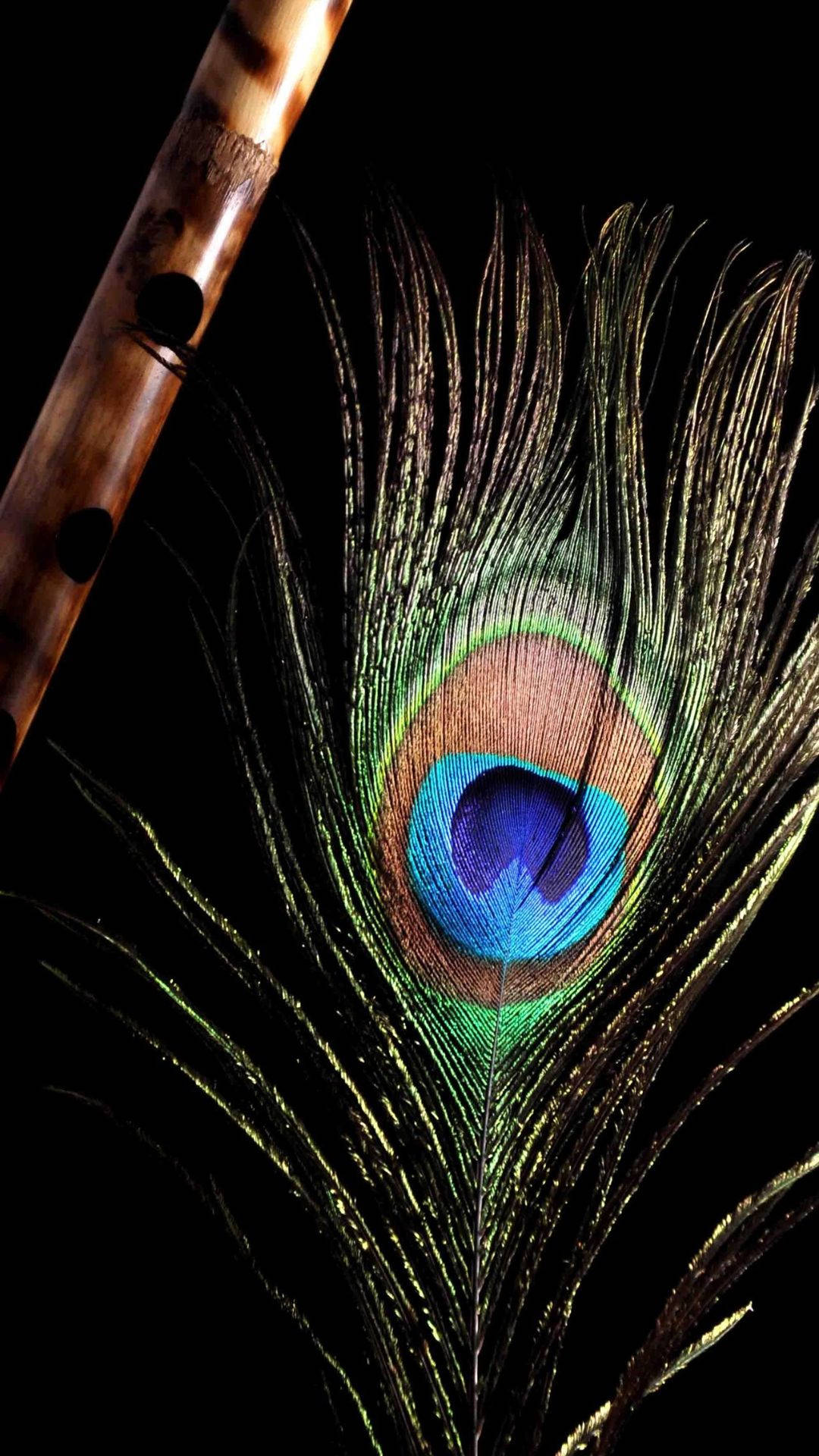 Premium Photo | Bright multicolored peacock feathers on dark . symbol of  krishna in hinduism religion