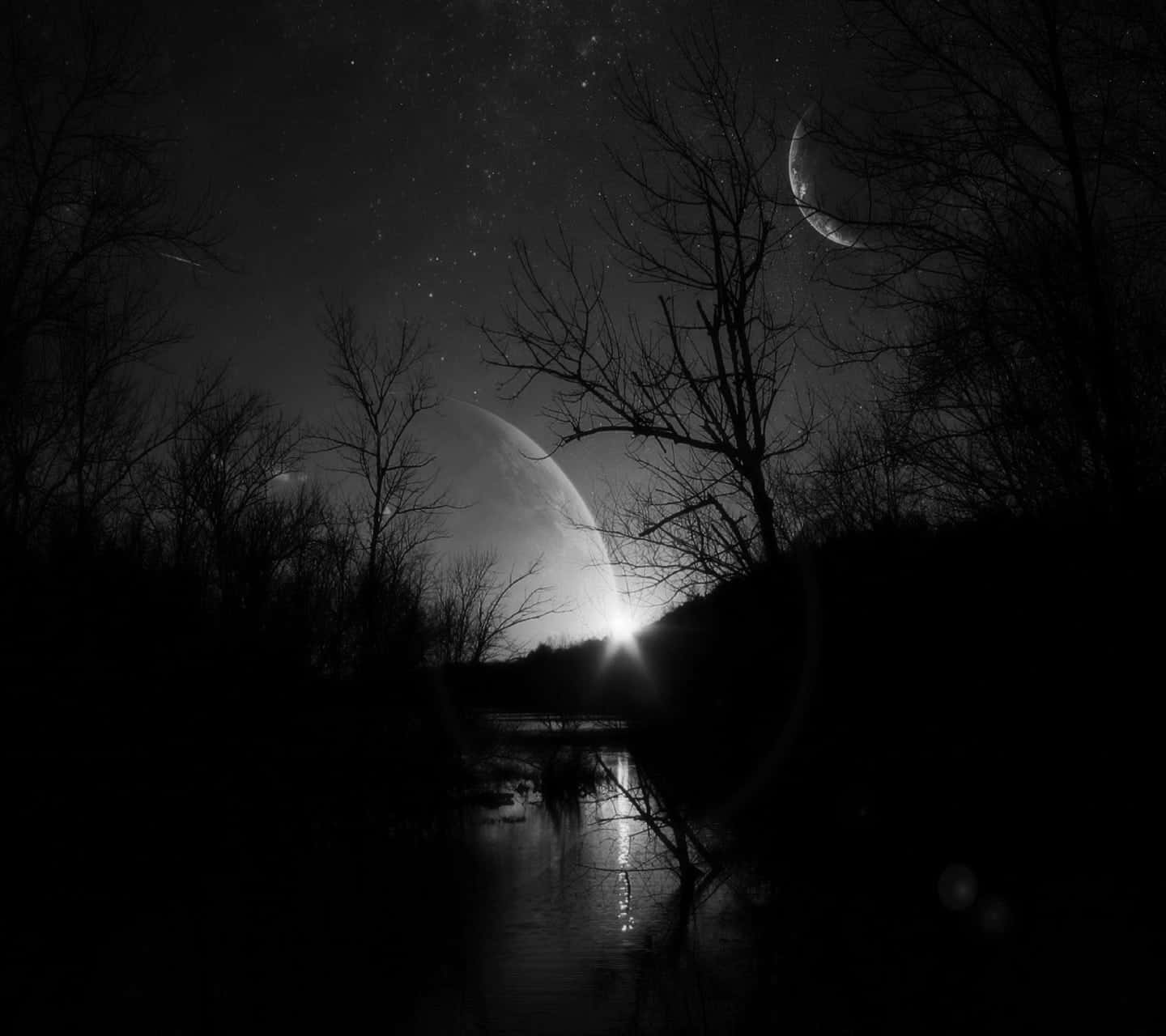 Mysterious Dark Landscape Illuminated by Moonlight Wallpaper