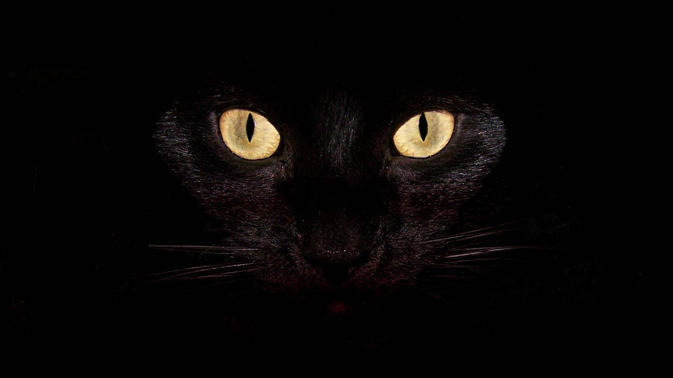 Dark Laptop Black Cat Eyes Wallpaper