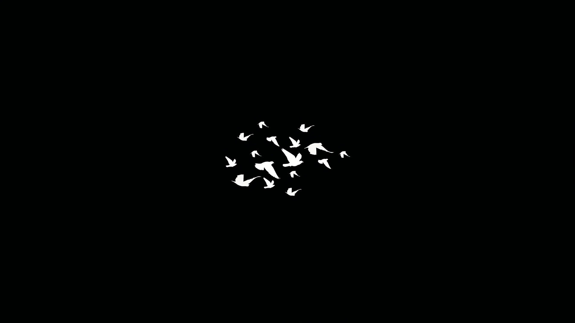 Dark Minimalist Flock Of Birds