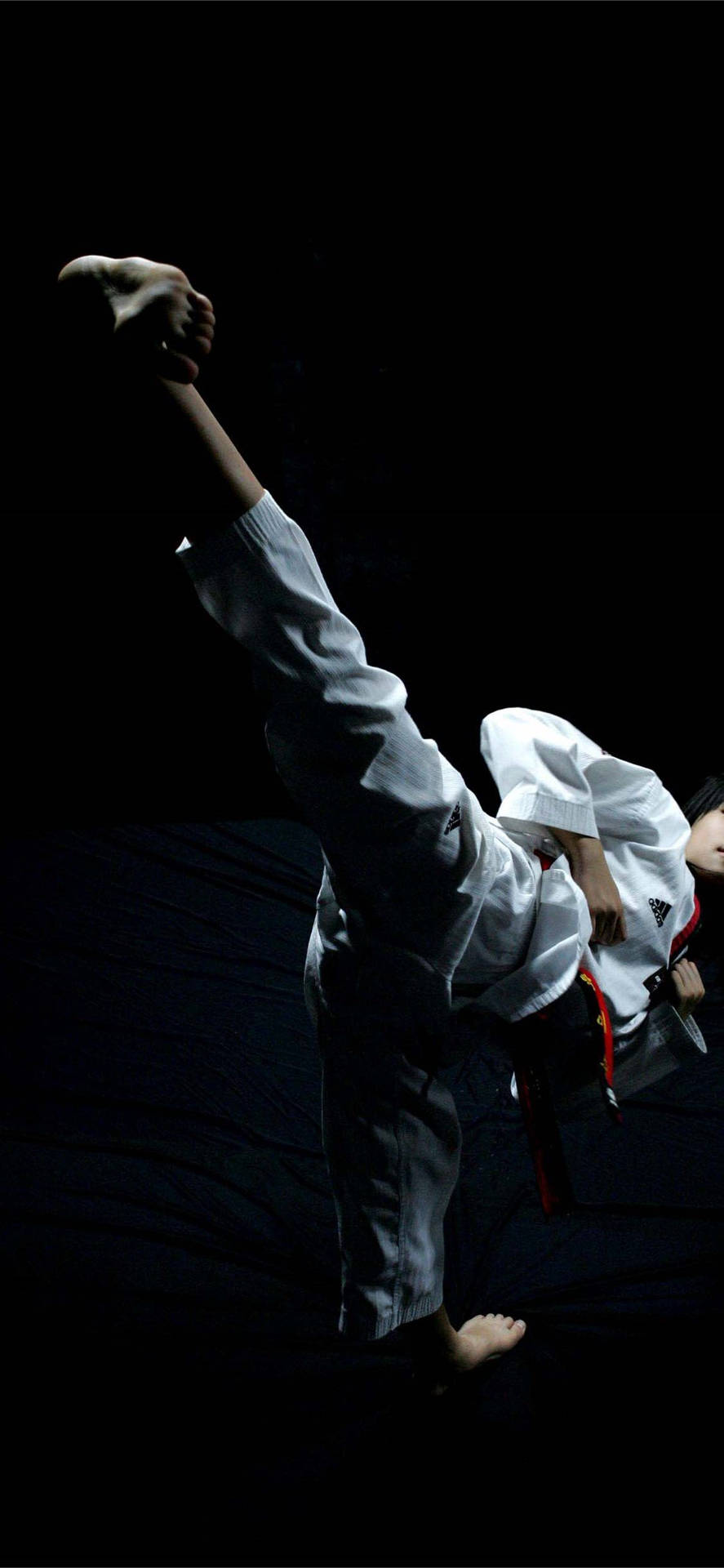 A Striking Display of Taekwondo Power Wallpaper