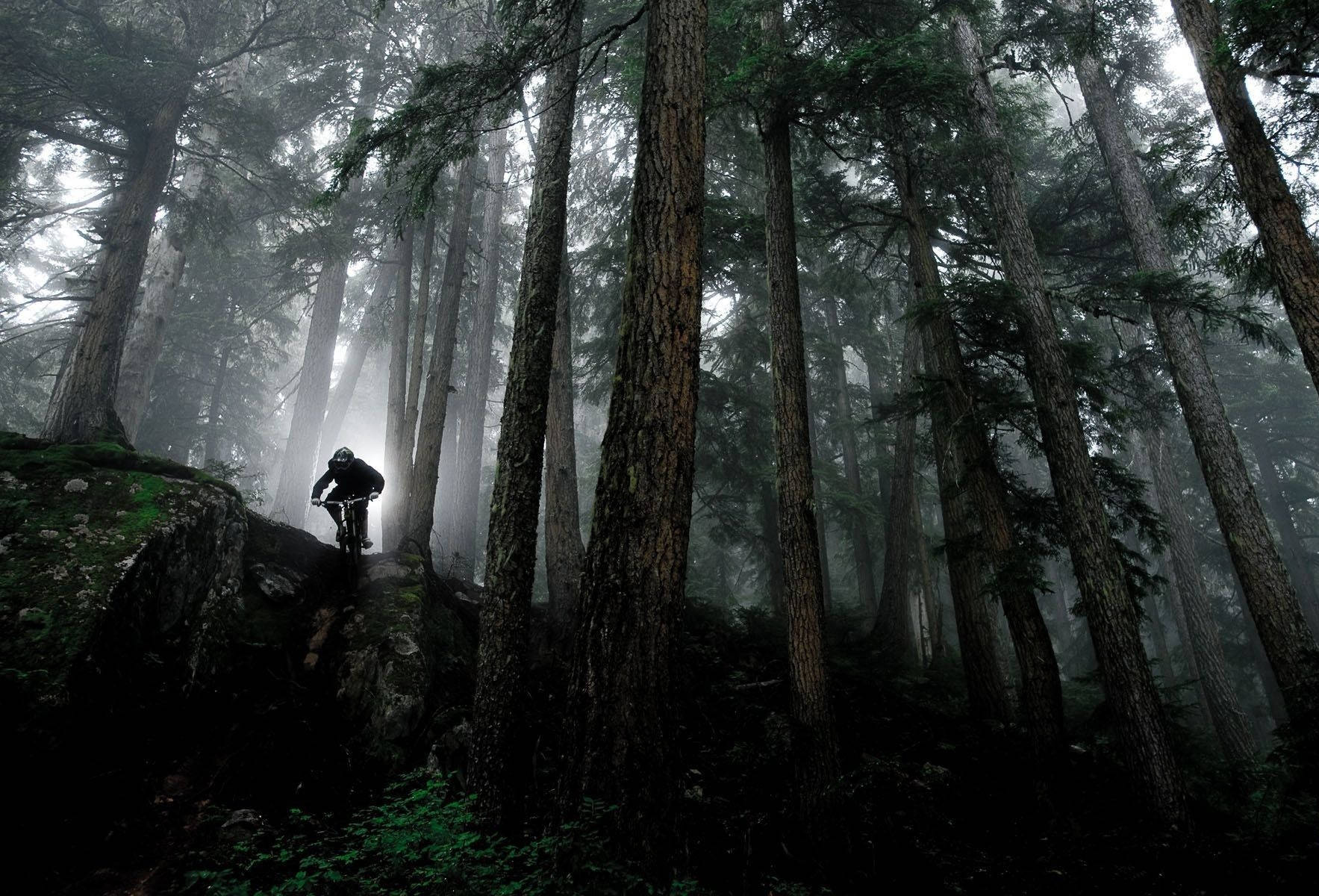 Dark Misty Forest Mtb Ride Background