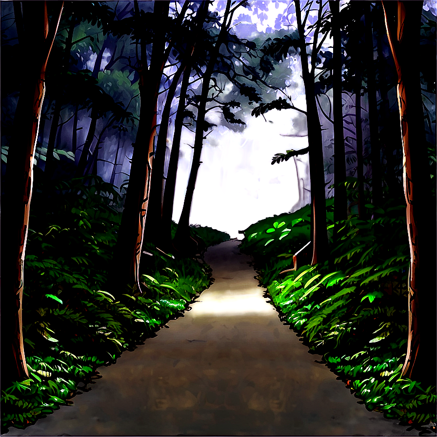 Dark Misty Forest Path Png 63 PNG