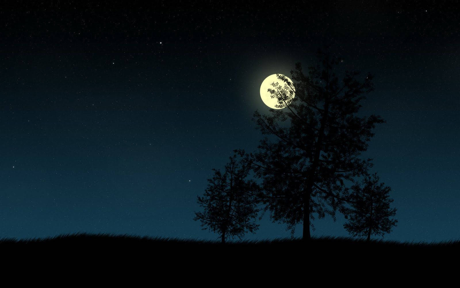 Mørk nat med træ og måne Wallpaper