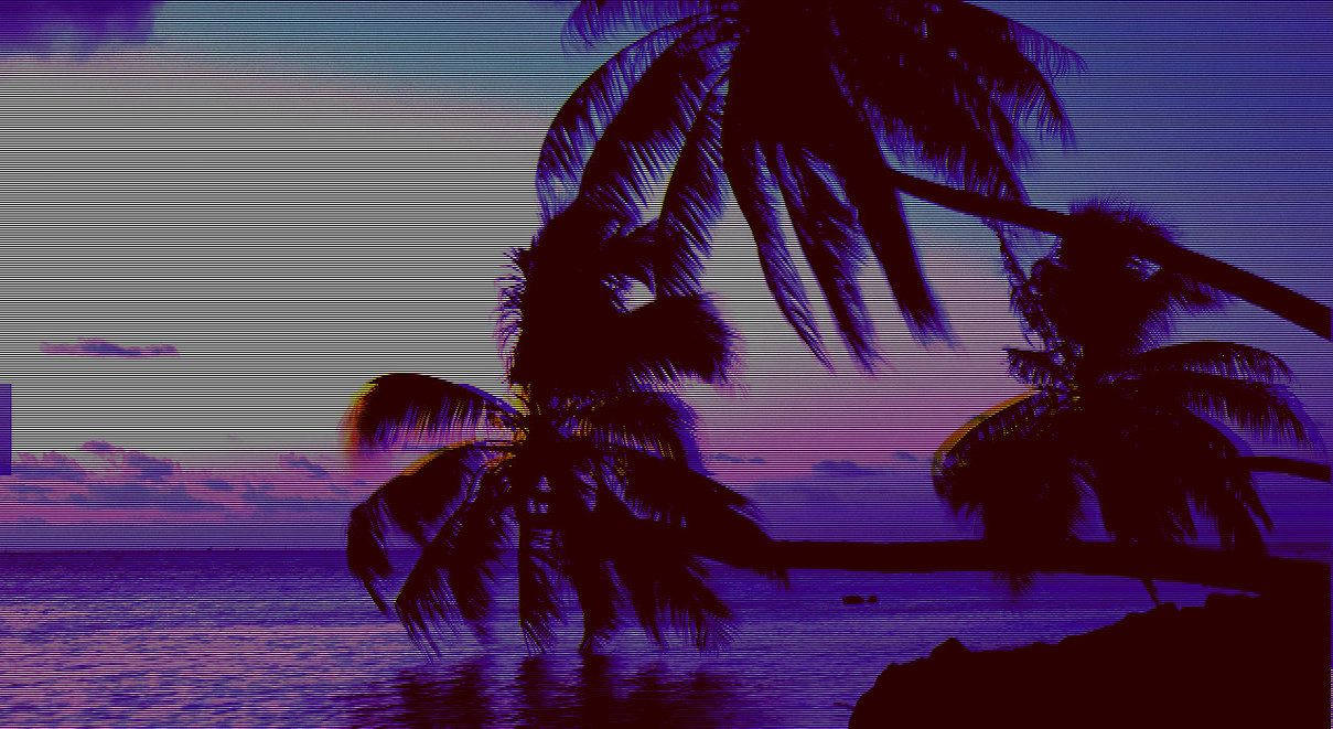 Top 999+ Palm Tree Wallpaper Full HD, 4K✅Free to Use
