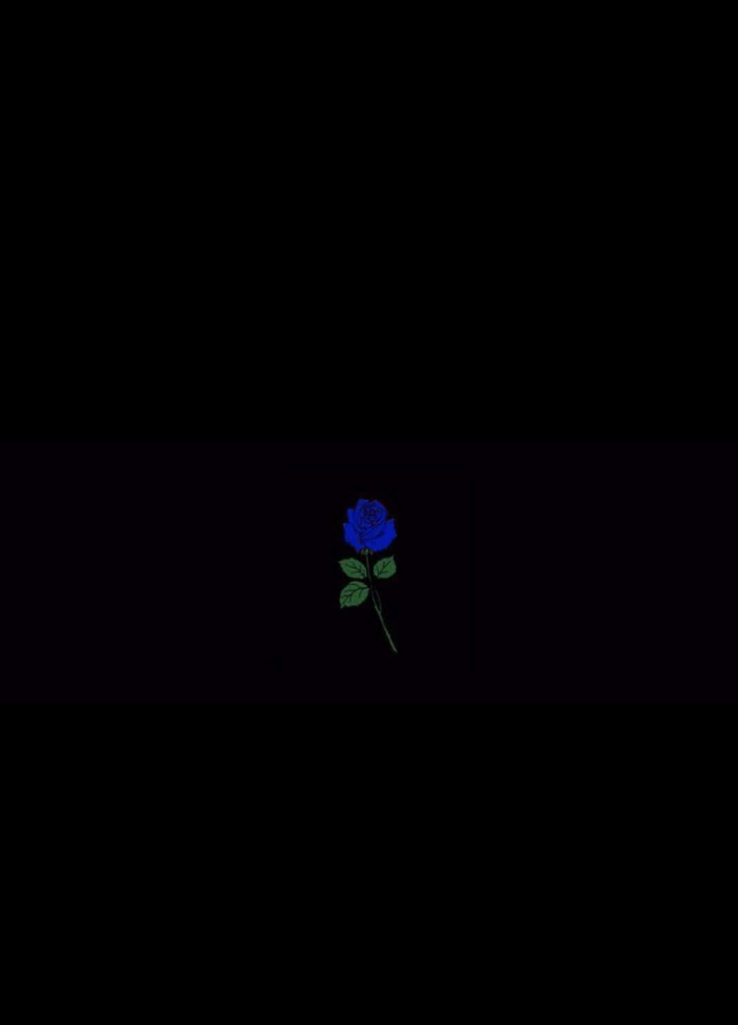 A Blue Rose On A Black Background