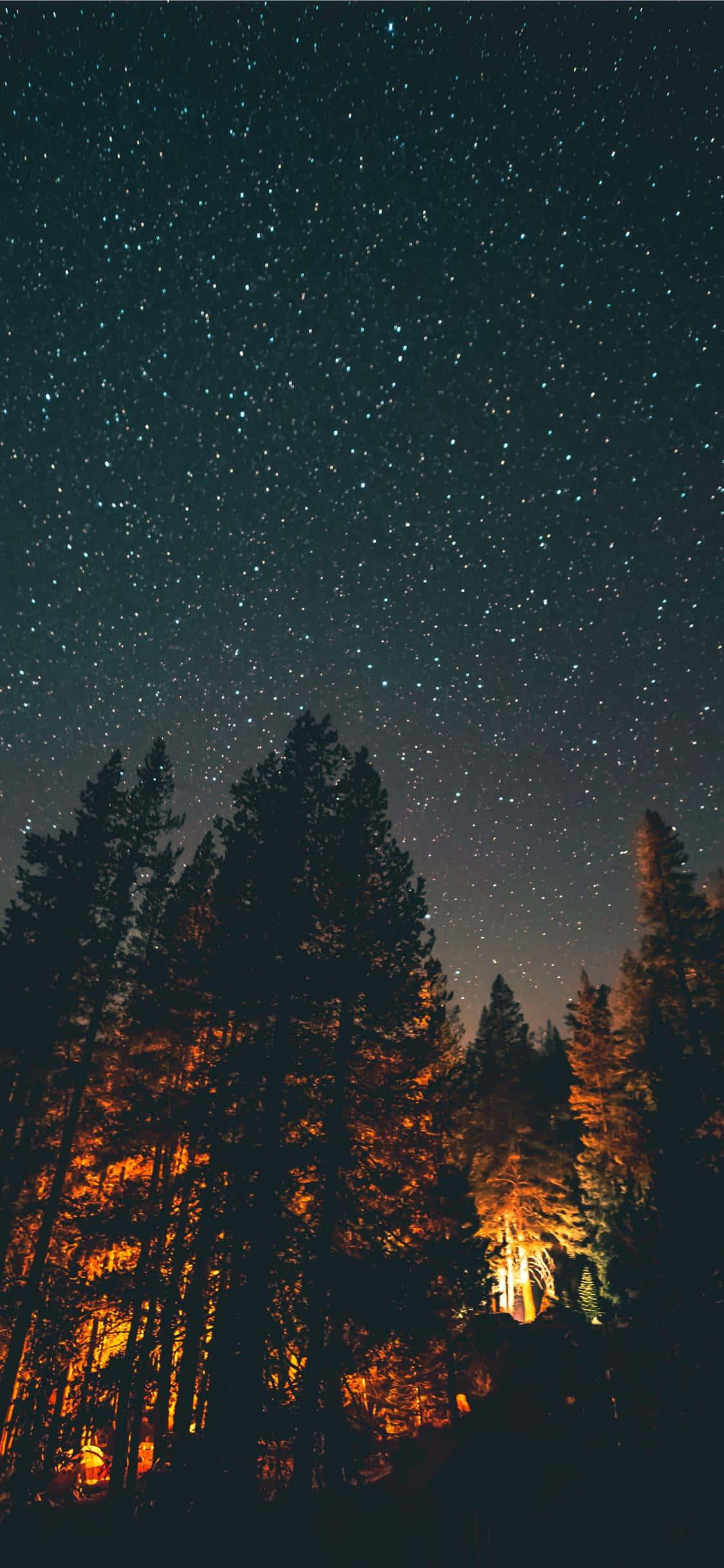 A Night Sky With Stars Above A Forest