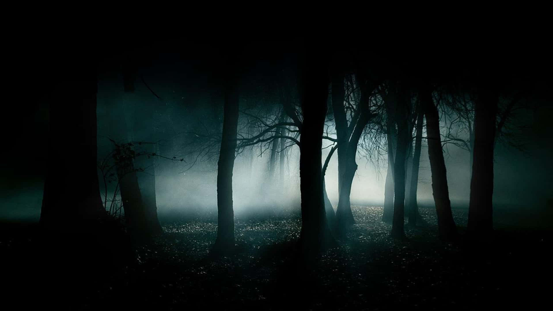 Nebeligerdunkler Wald Hintergrundbild.