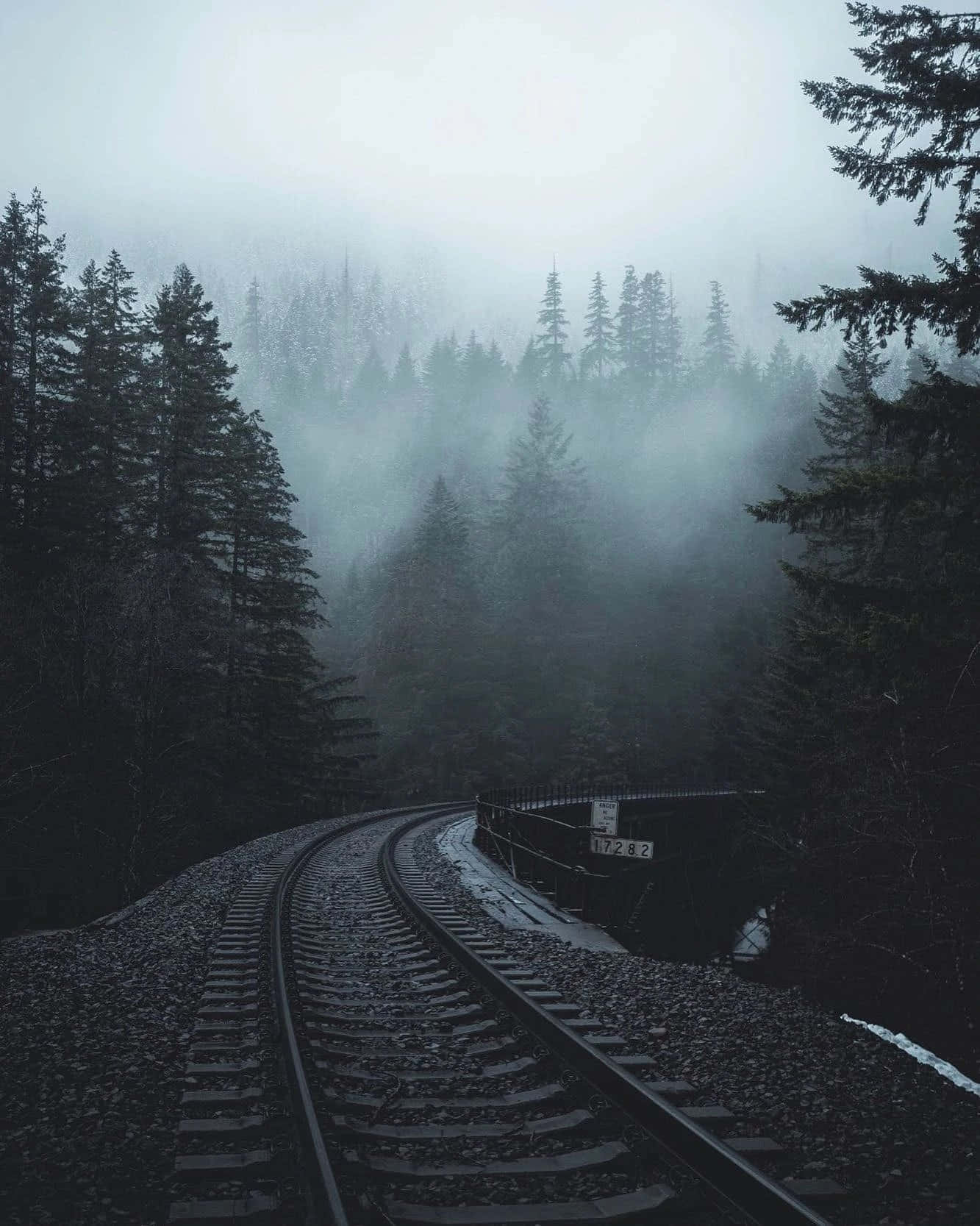 Dark Railroad Tracks Picture