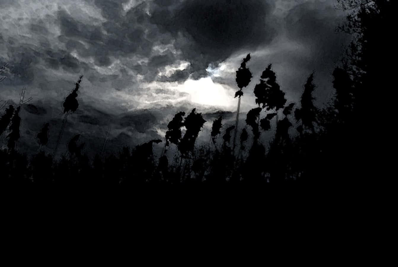 Dark Clouds And Field Picture