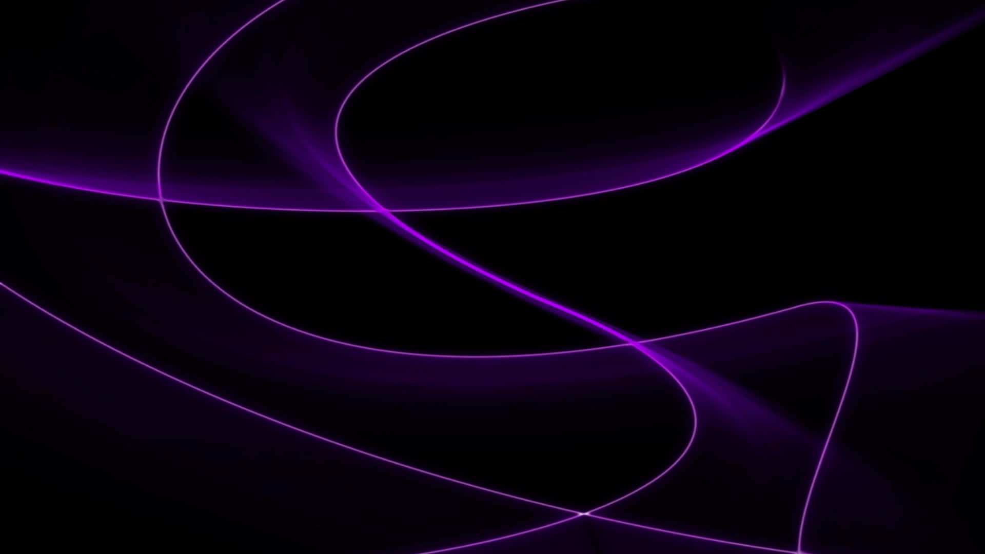 Purple Light Lines On A Black Background