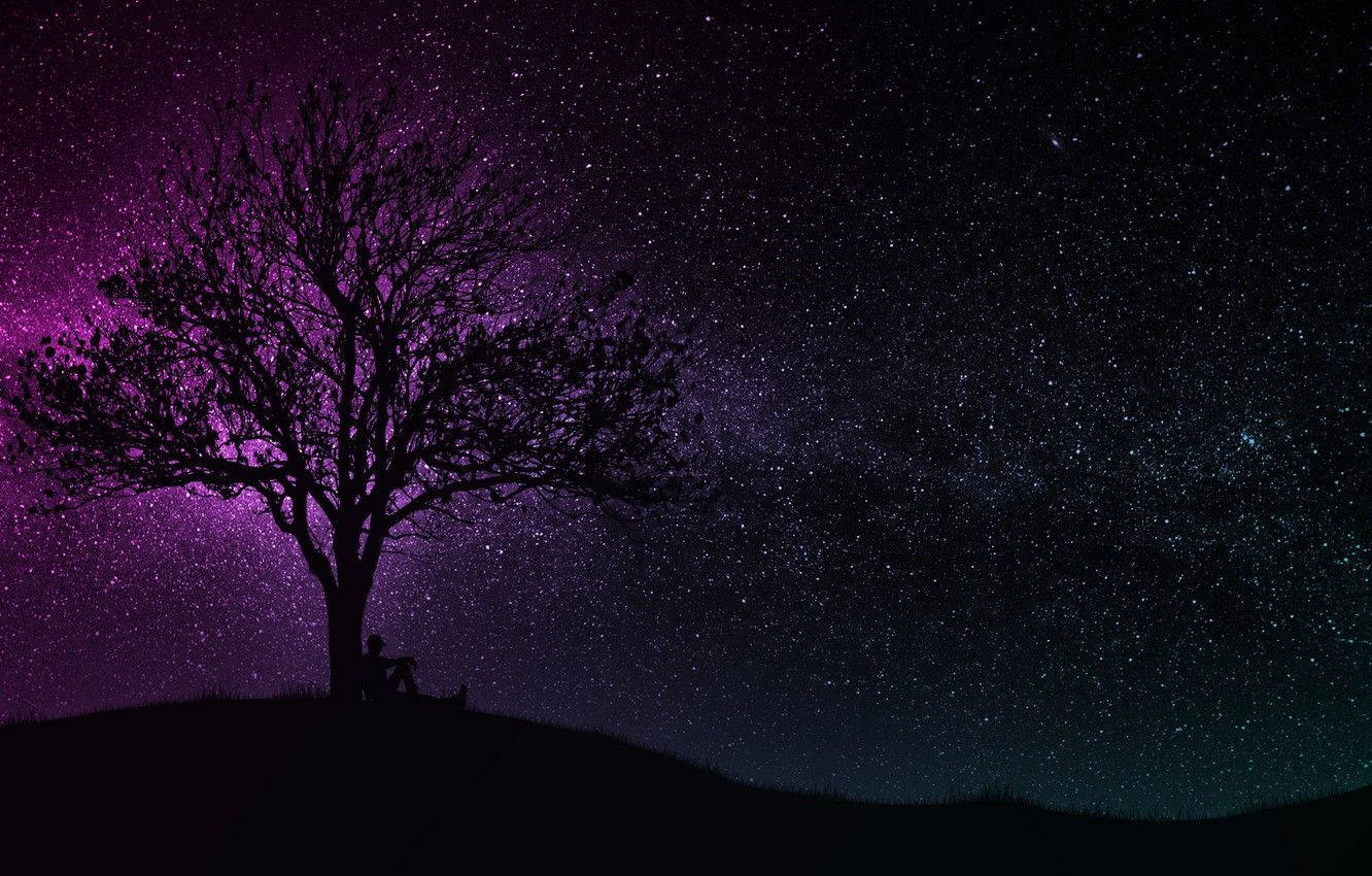 Dark Purple Blue Sparkling Sky Wallpaper