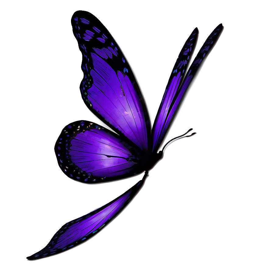 Download Dark Purple Butterfly Png 05232024