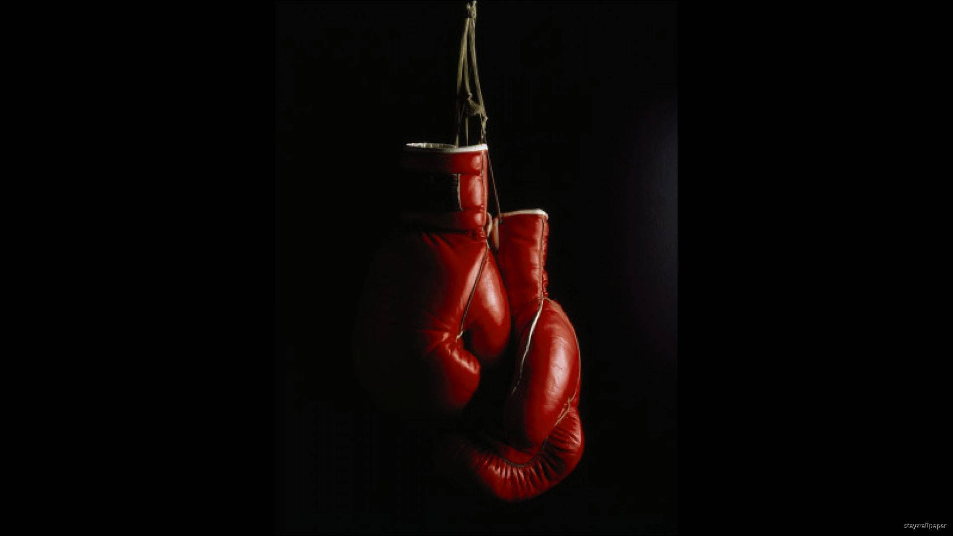 hanging boxing gloves black background