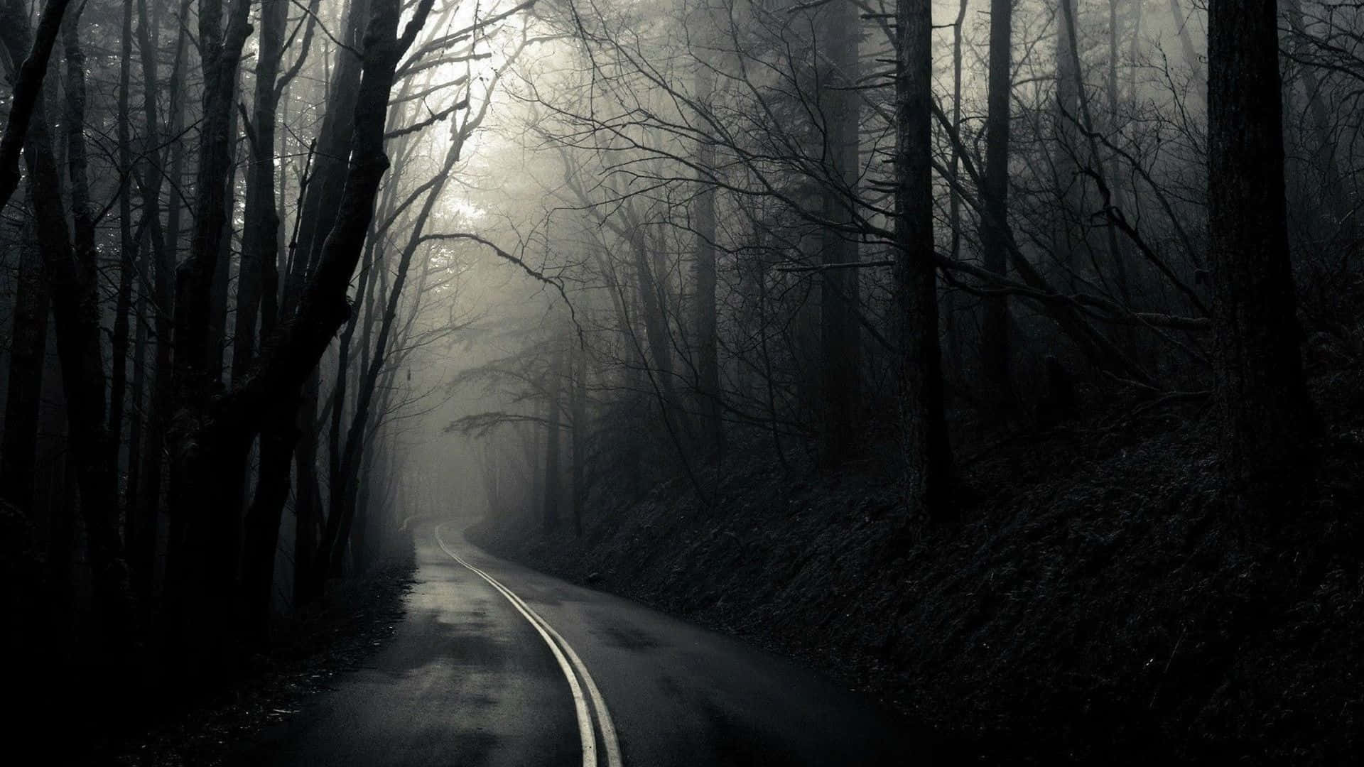 A Mysterious Journey Down a Dark Road Wallpaper