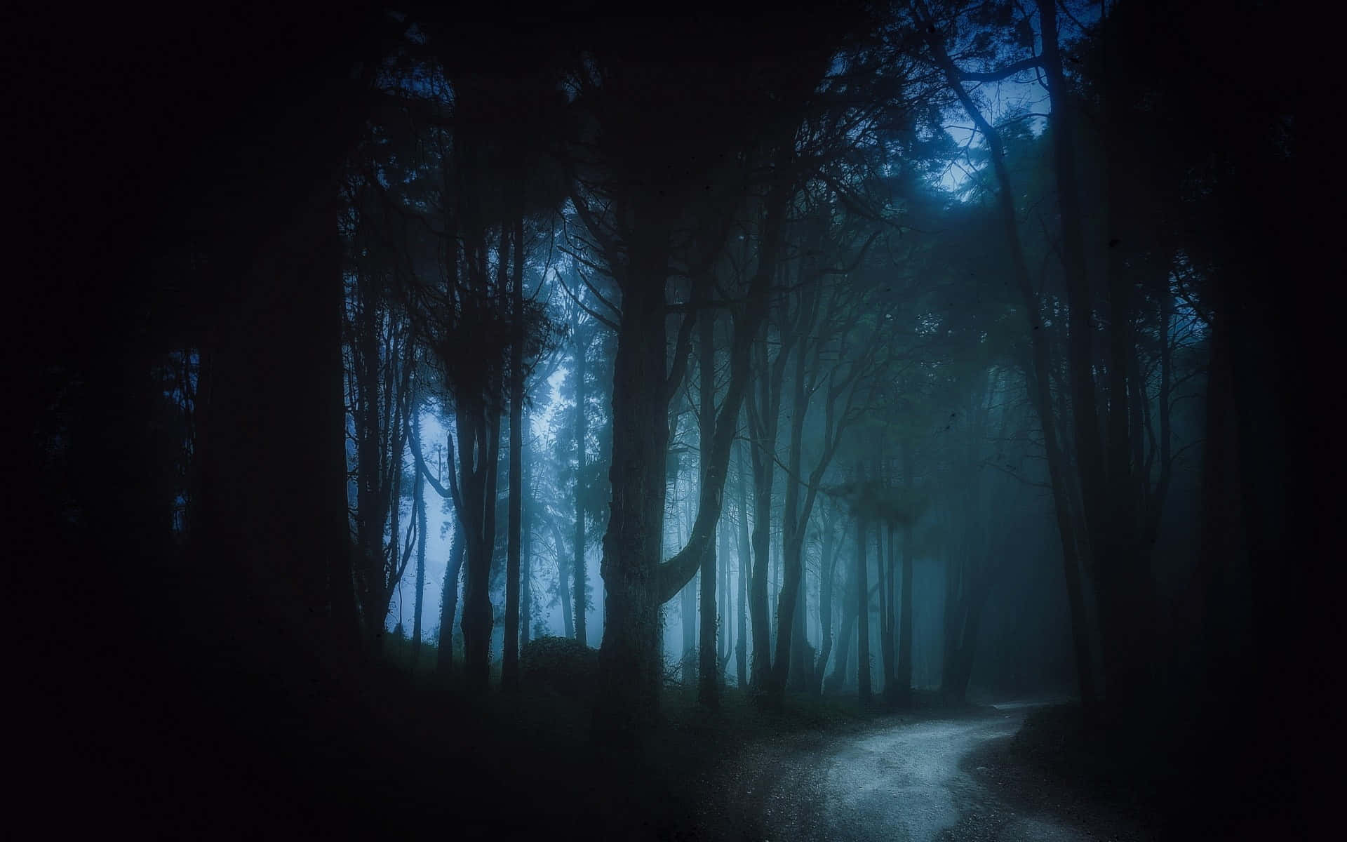 Mysterious Dark Road in Moonlit Forest Wallpaper