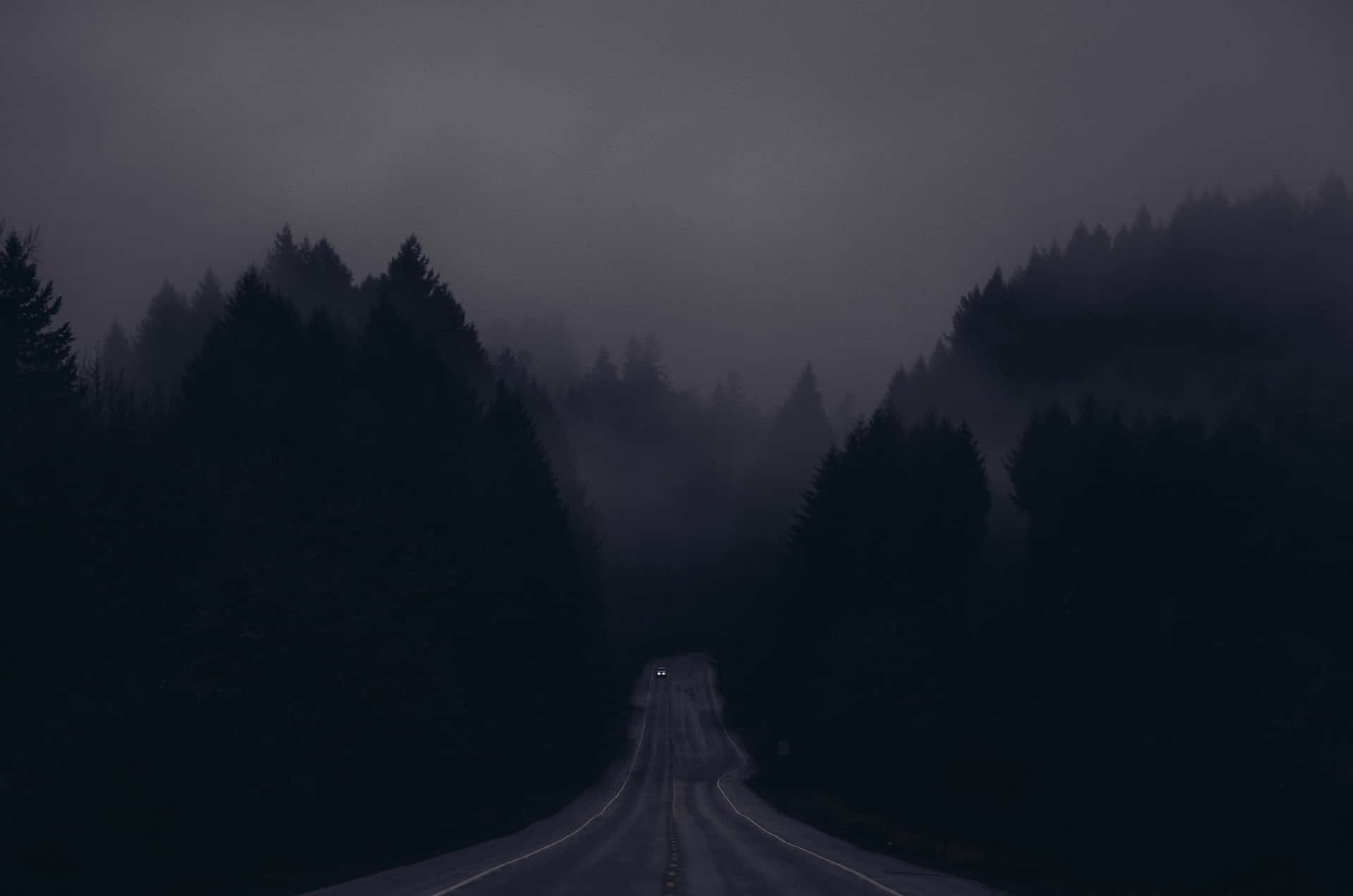 Mysterious Dark Road in a Moonlit Forest Wallpaper
