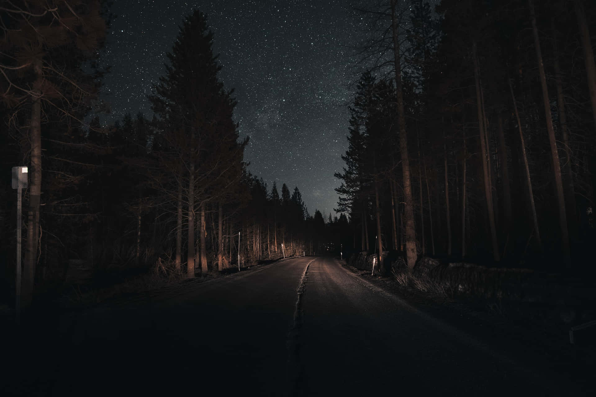 A mysterious journey through the dark forest road Wallpaper