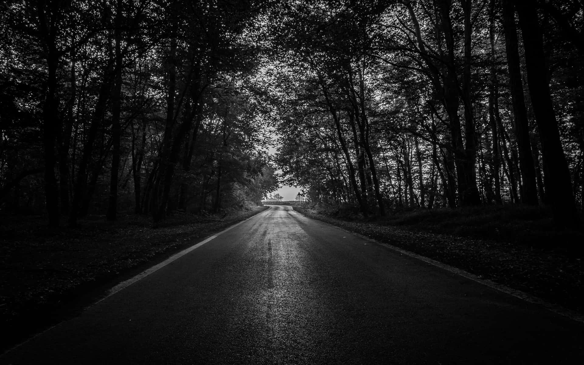 A Mysterious Dark Road at Night Wallpaper