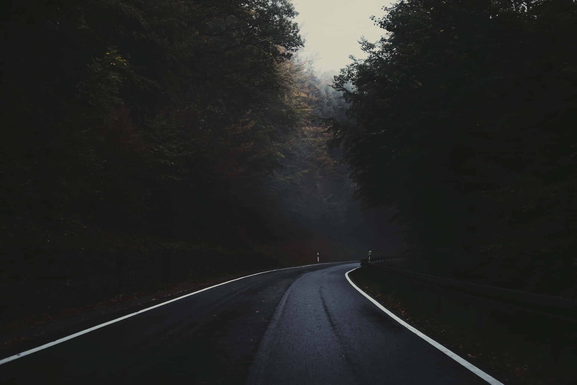 An eerie dark road illuminated by moonlight Wallpaper