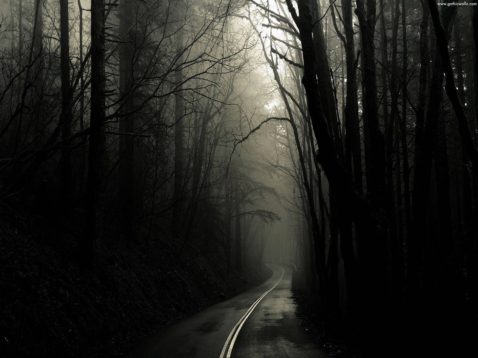 Dark Road In Gothic Forest Wallpaper