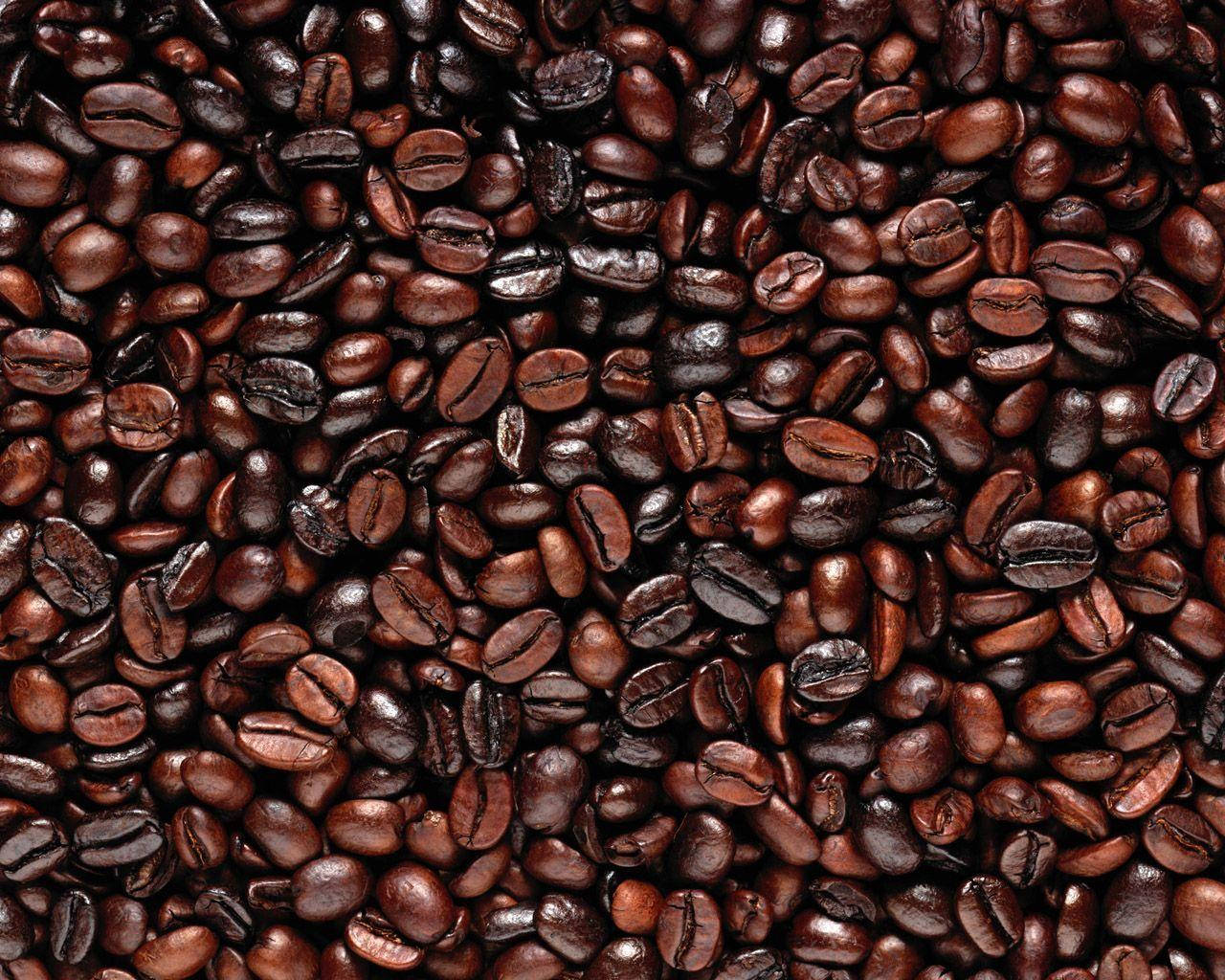 Dark Roasted Coffee Beans Shining Background