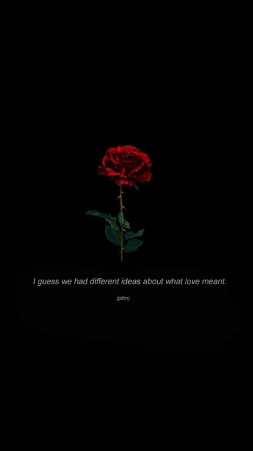 Dark Romance Rose Divergent Love Wallpaper