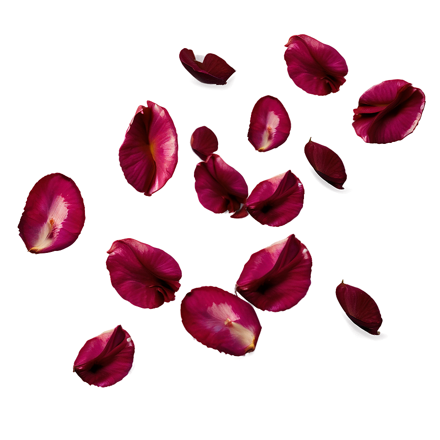 Dark Rose Petals Falling Png 54 PNG