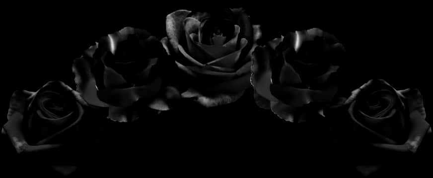 Dark Roses Elegance PNG