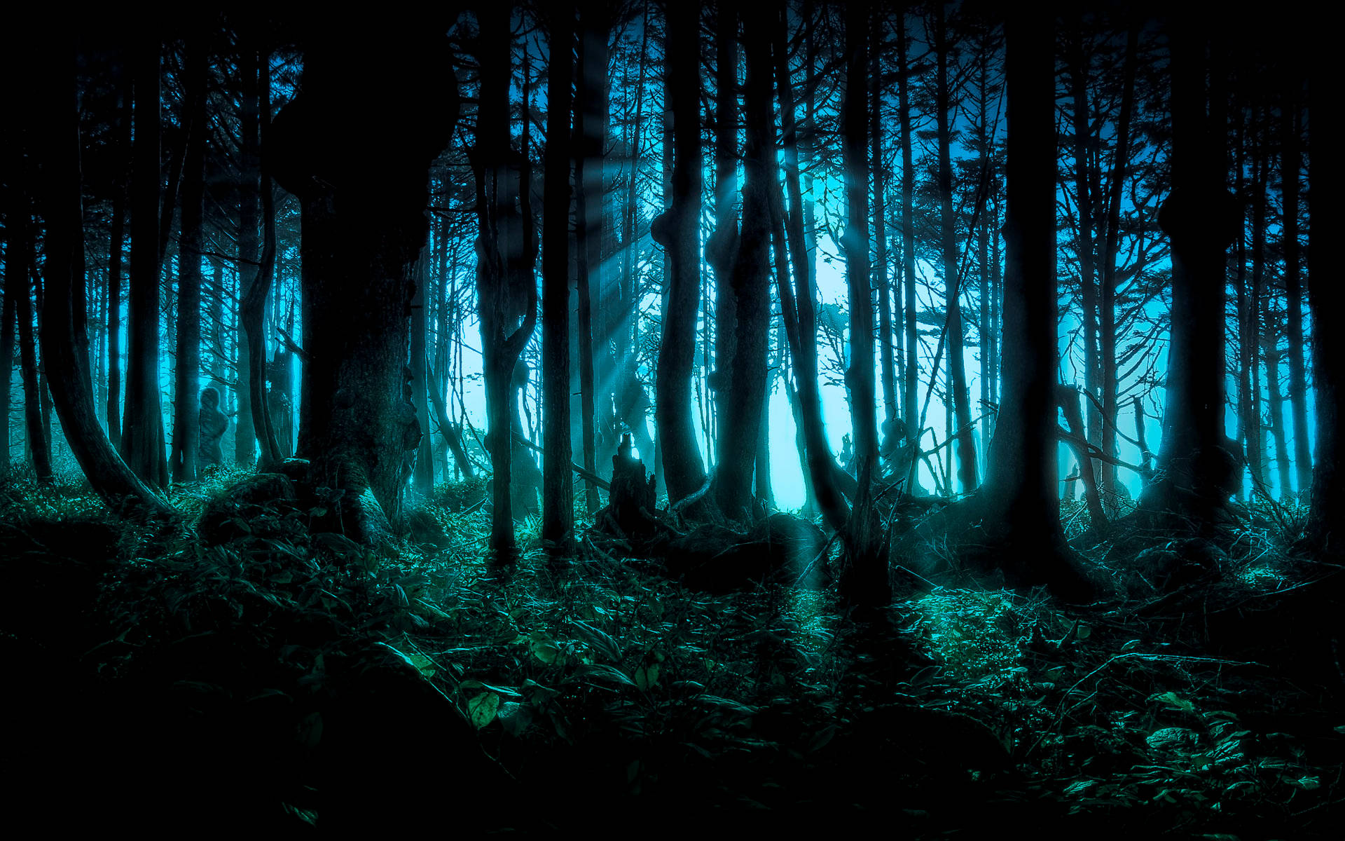 Dark scary forest image wallpaper.