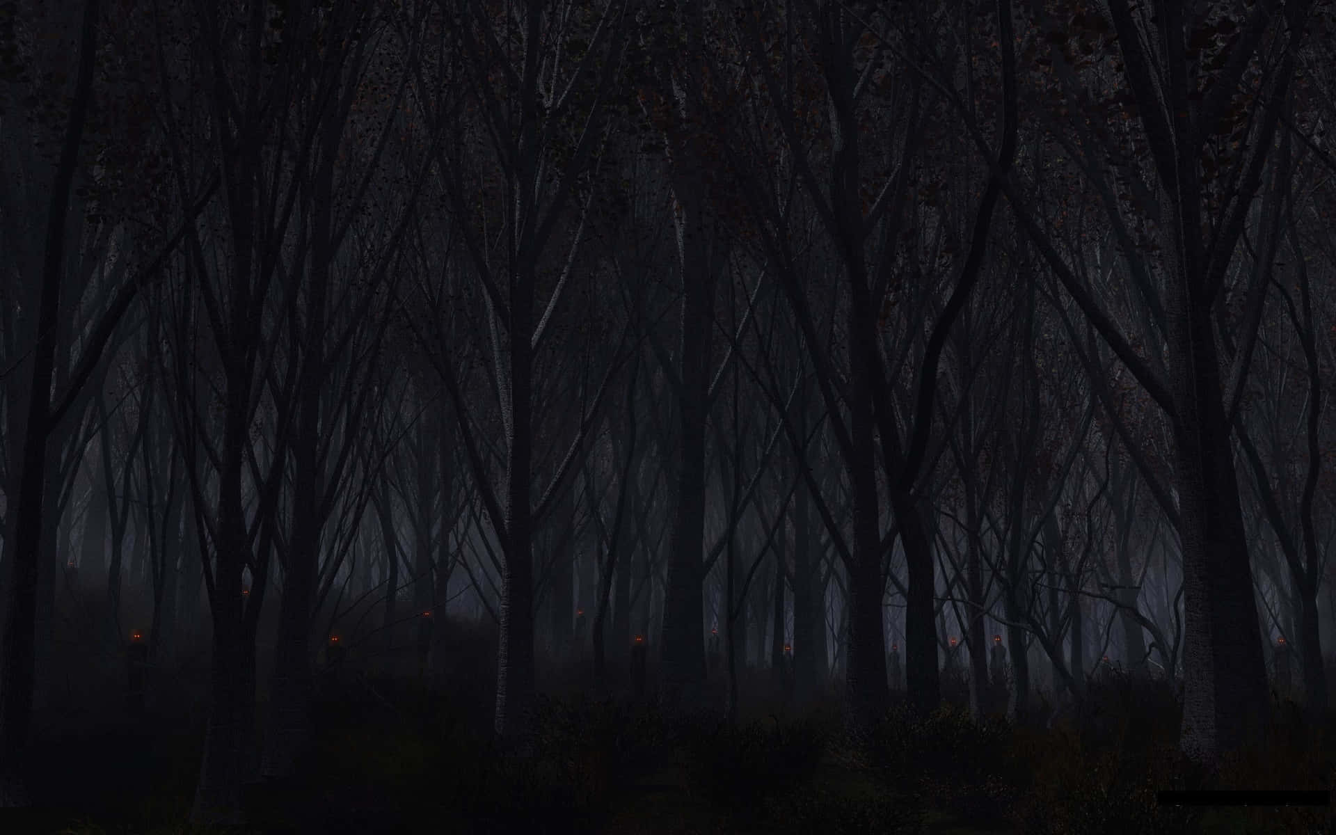 Download Dark Scary Haunted Forest Wallpaper 