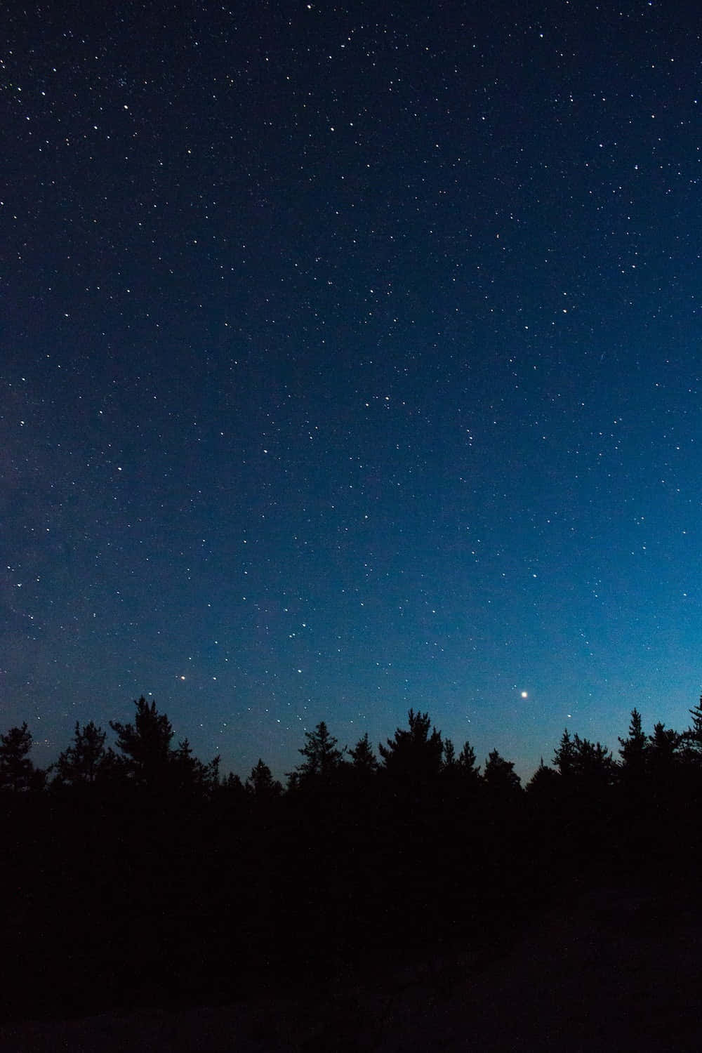 Uncielo Nocturno Con Estrellas Y Luna Sobre Un Bosque