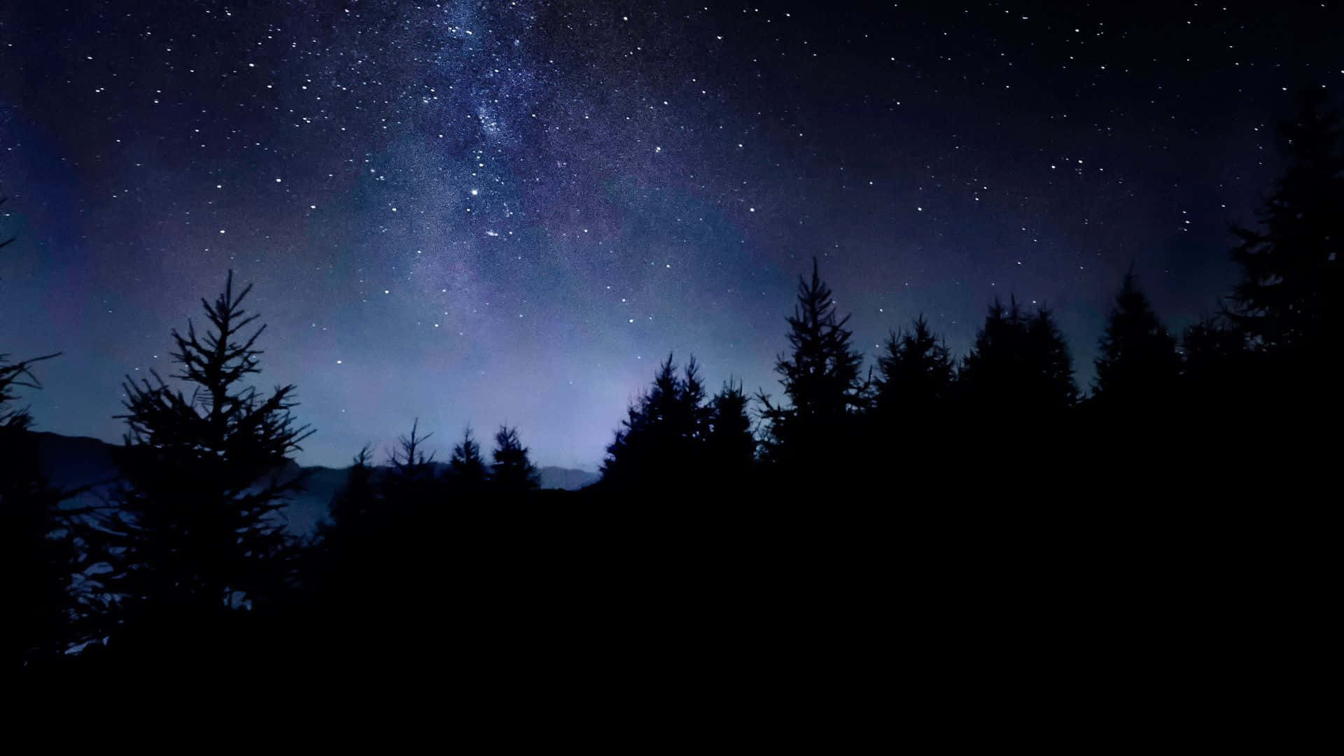Sort stjerne Nat Sky Over Skov Wallpaper