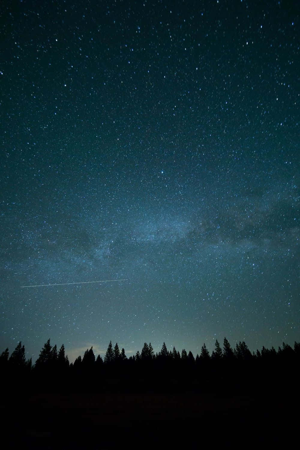 Et nattehimmel med stjerner og træer silhuetterede i månelyset. Wallpaper