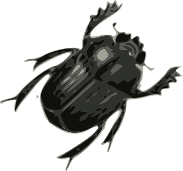 Dark Stylized Beetle Illustration PNG