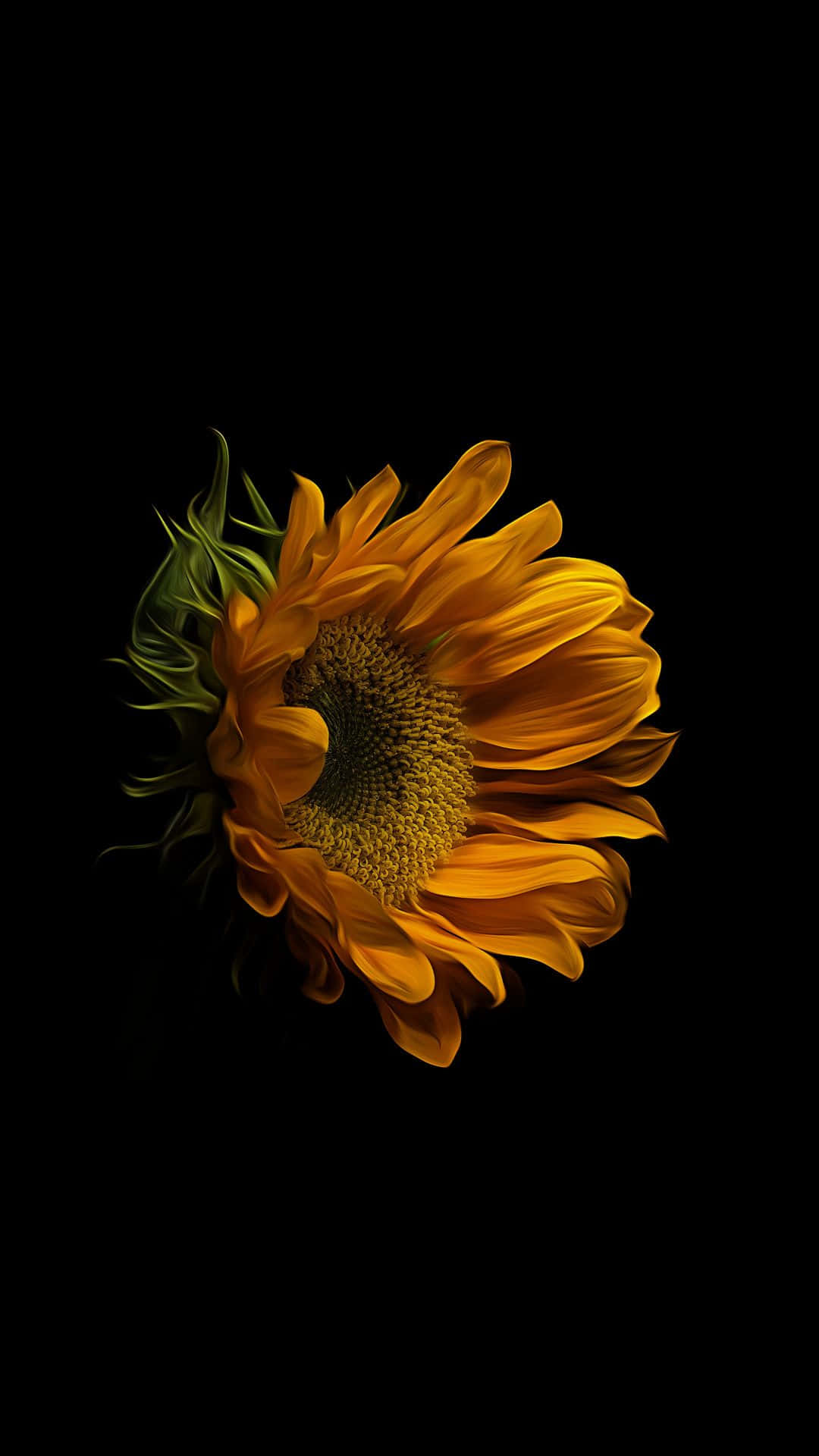 Image  A vibrant dark sunflower against a black and white background Wallpaper