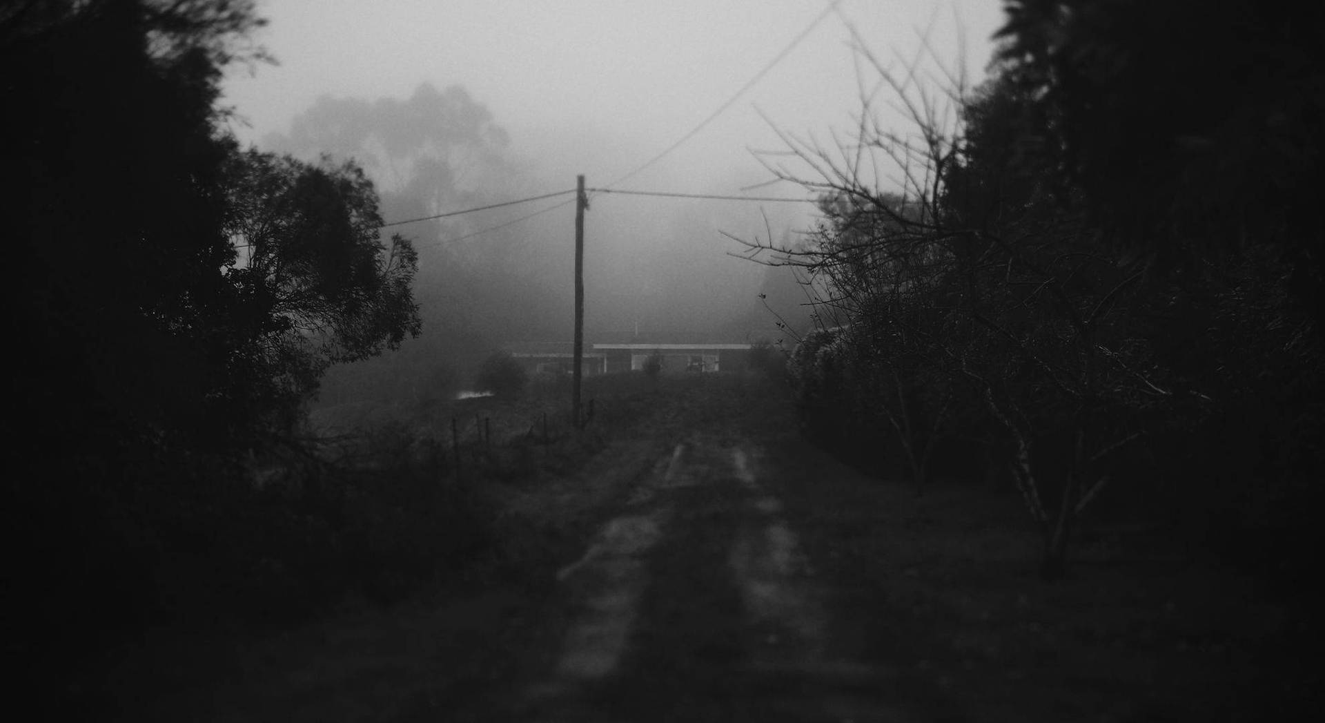 Dark Theme Foggy Area Dirt Road