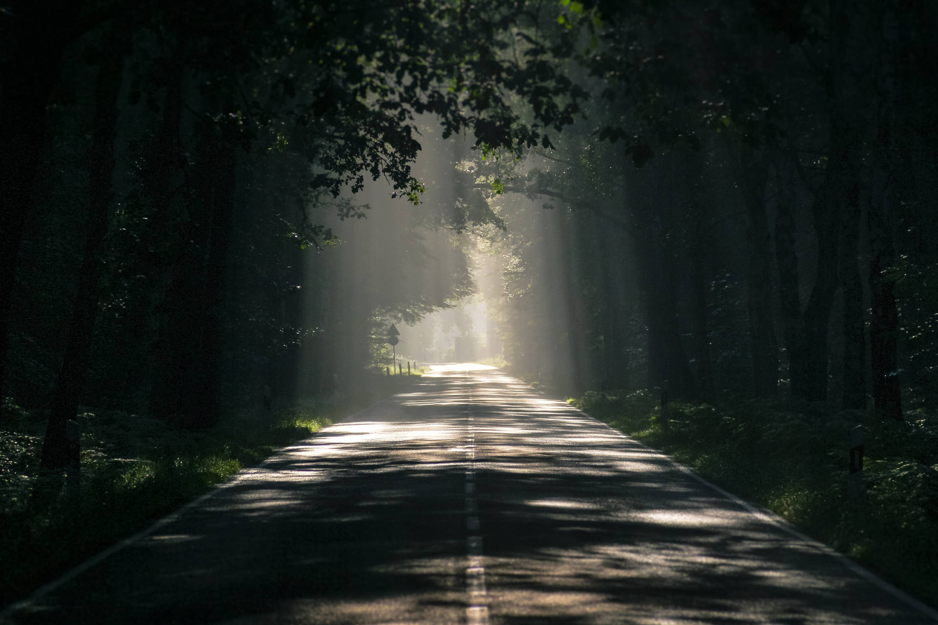 Dark Theme Road Surrounded By Trees