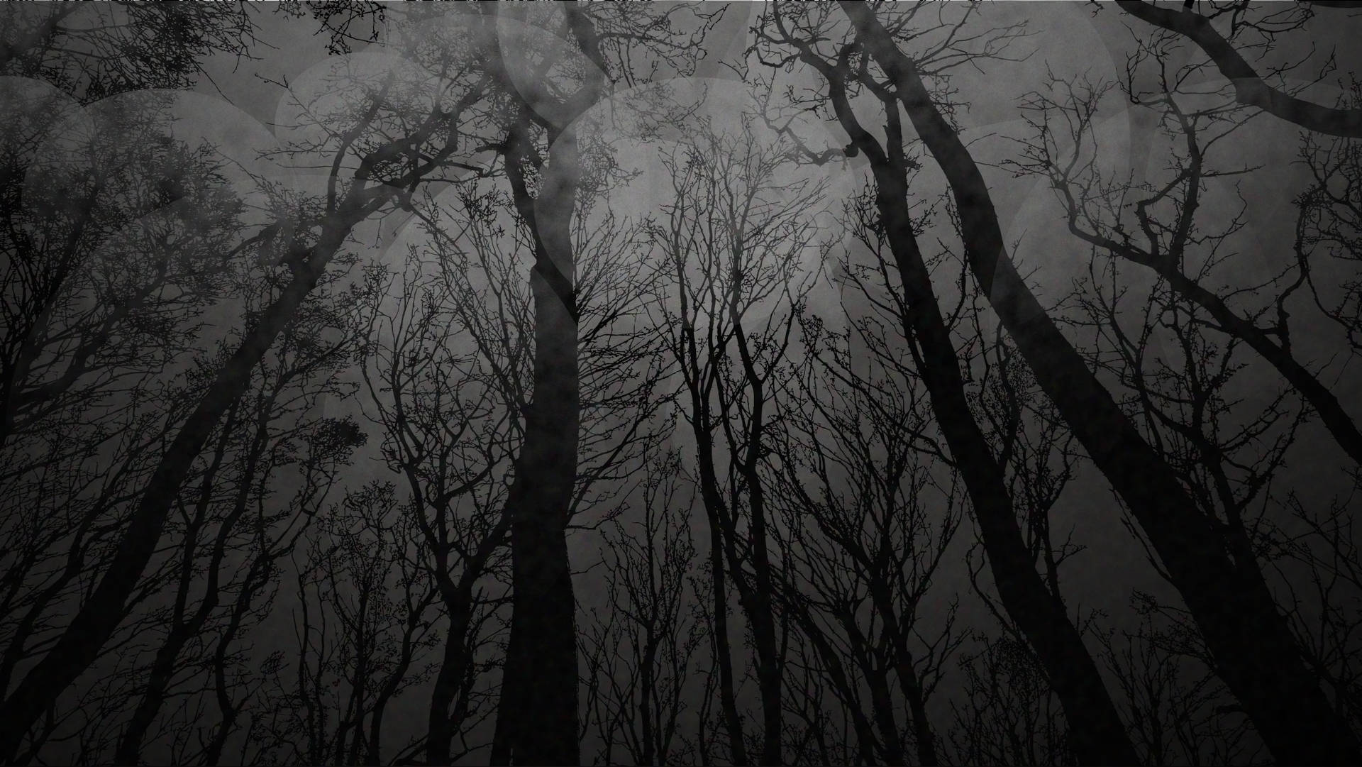 Dark Trees Art Wallpaper