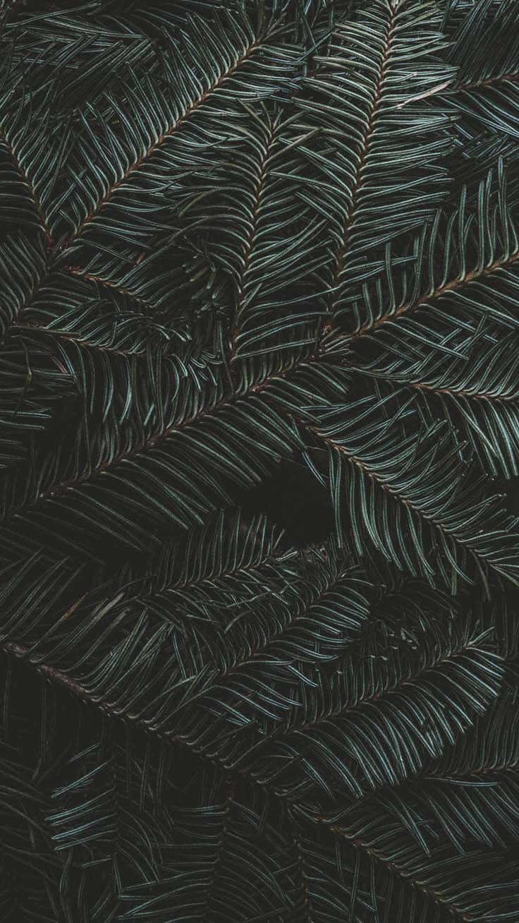 Dark Tropical Foliage Texture Wallpaper