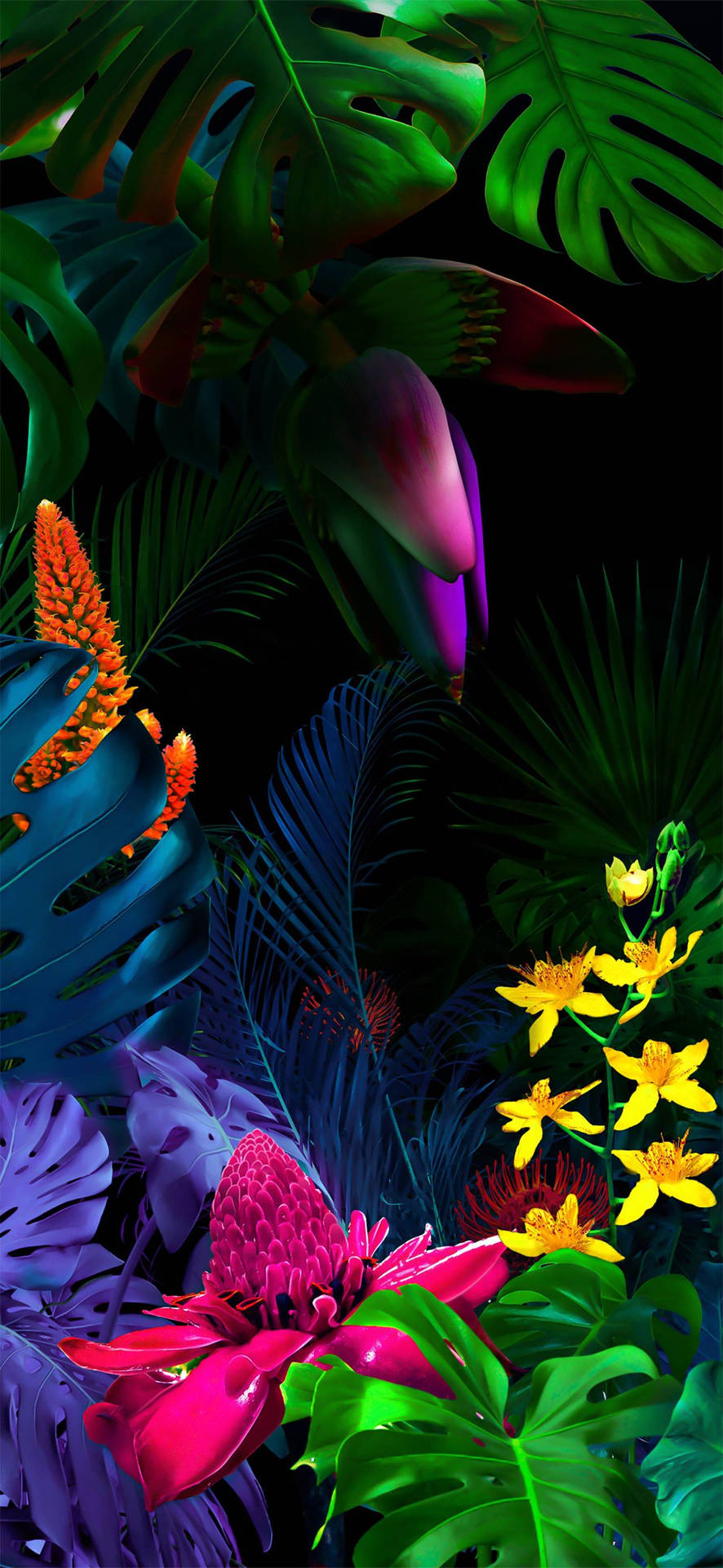 Tropical wallpaper on black background summer Vector Image