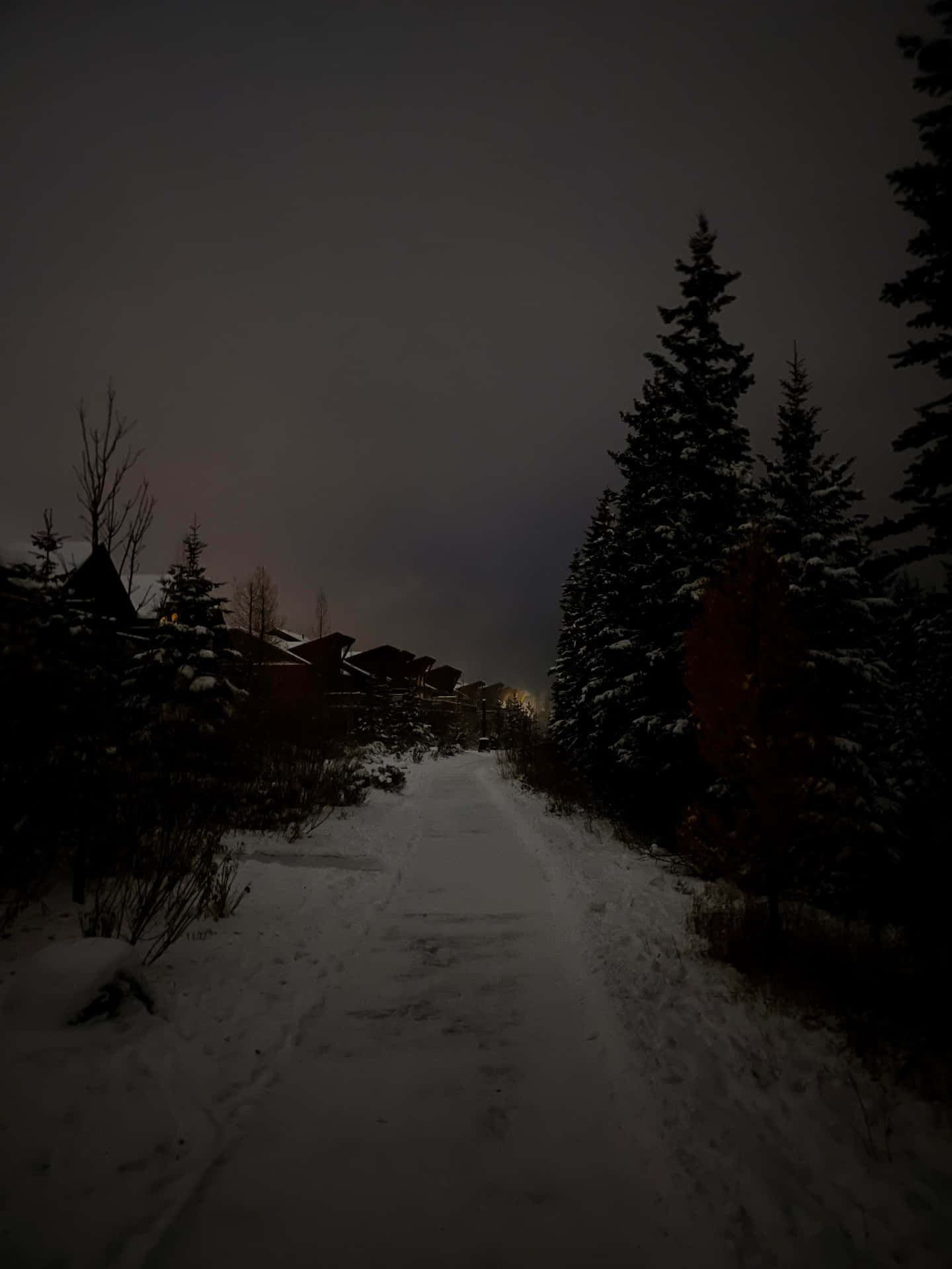 Sentier D'hiver Sombre.jpg Fond d'écran