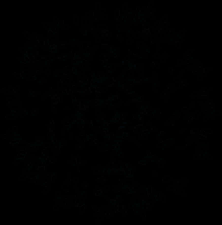 Dark_ Black_ Texture_ Background PNG