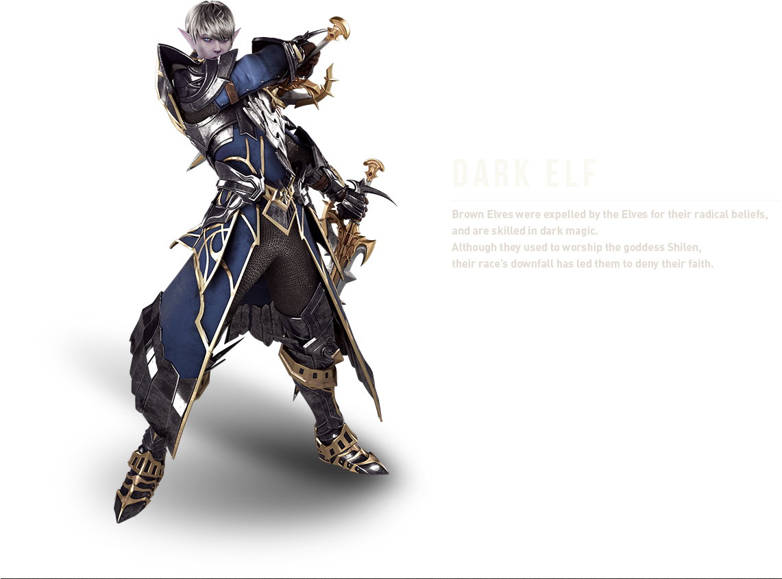 Dark_ Elf_ Fantasy_ Character_ Artwork PNG