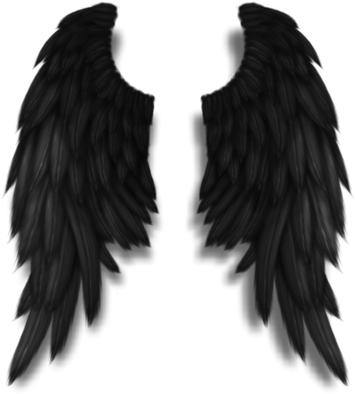 Dark_ Feathered_ Wings_ Artwork PNG