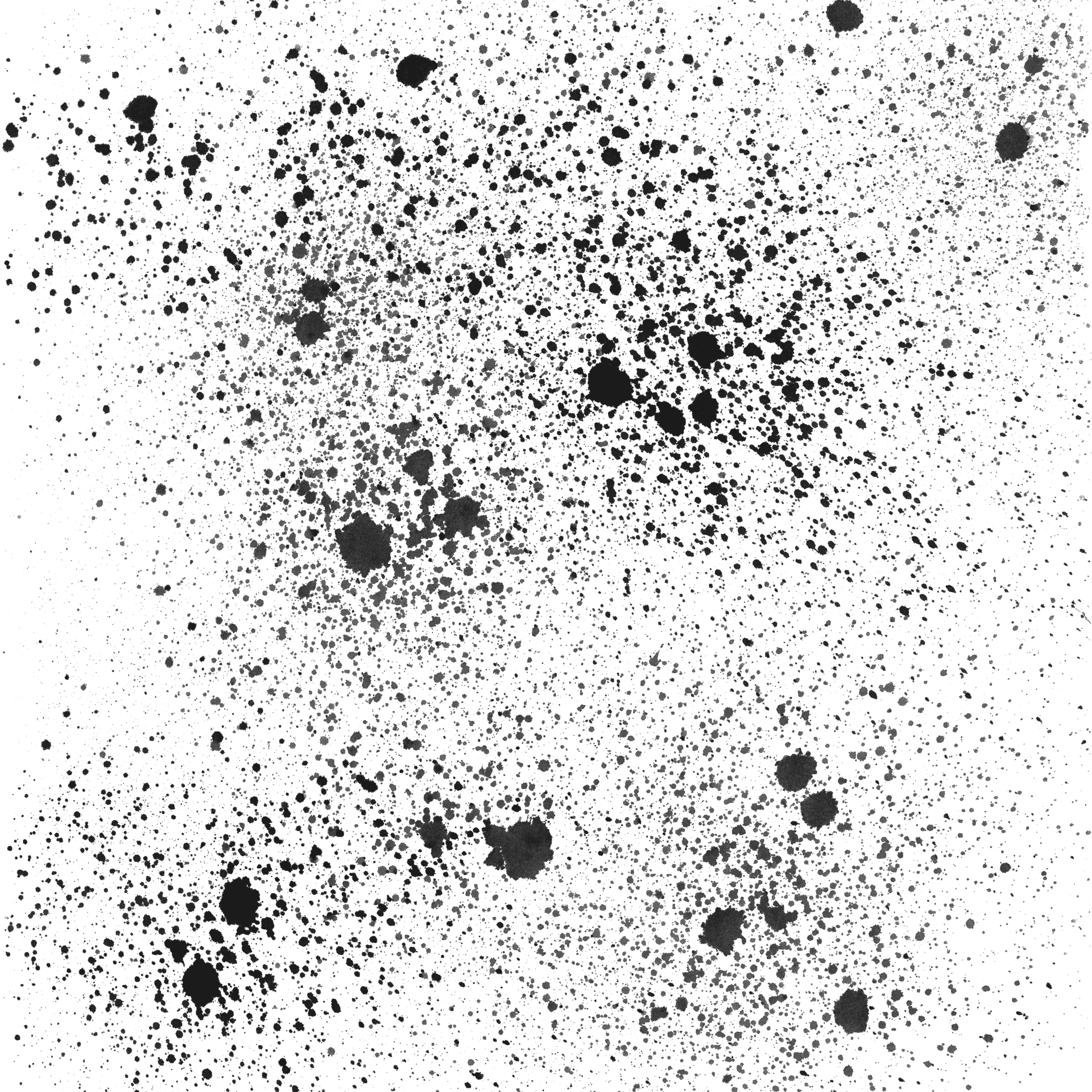 Dark_ Splatter_ Grunge_ Texture PNG