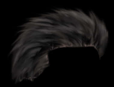 Dark_ Swept_ Hairstyle_ P N G PNG