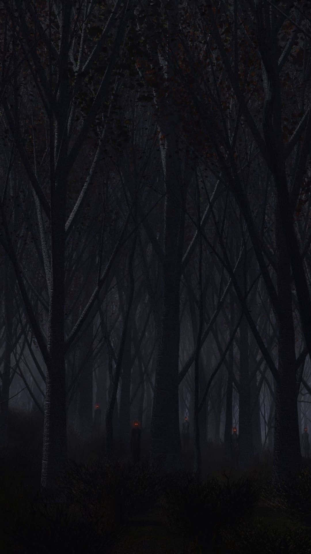 En mørk skov med træer og en lampe Wallpaper
