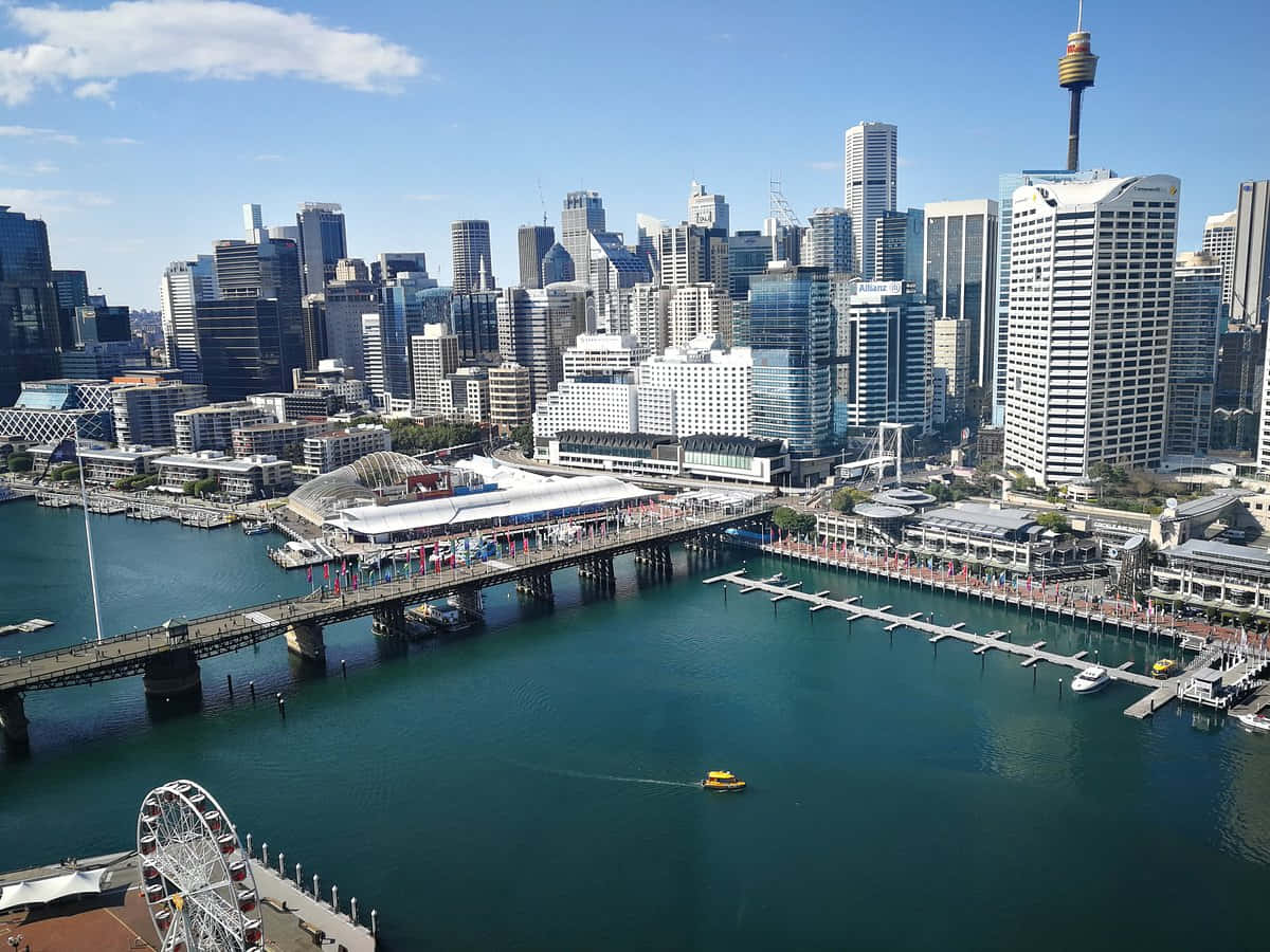 Darling Harbor Sydney Aerial View Wallpaper