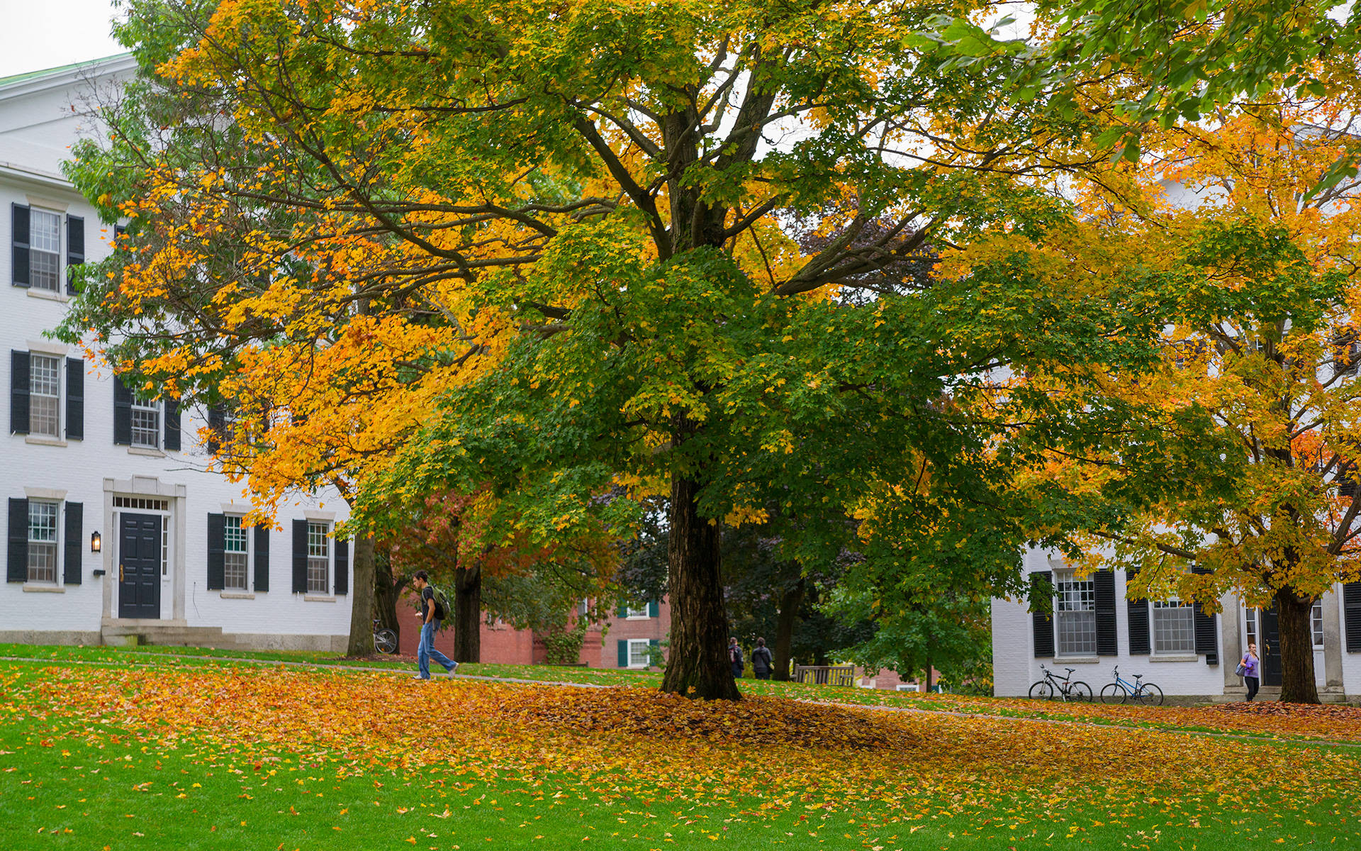 Dartmouthcollege Campus View - Dartmouth Colleges Campusvy Wallpaper